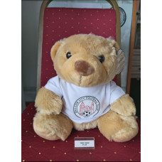 Brechin FC Medium Teddy