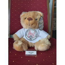 Brechin FC Small Teddy